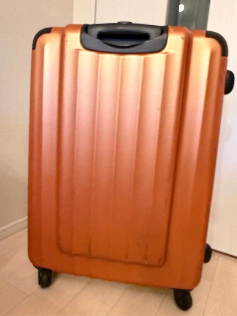 【USED】ACE exact. 大型キャリーケース