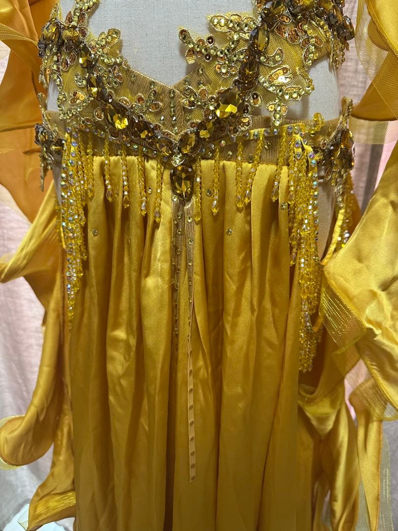 波　オーダー豪華衣装　新品　ベリーダンス　4点セット