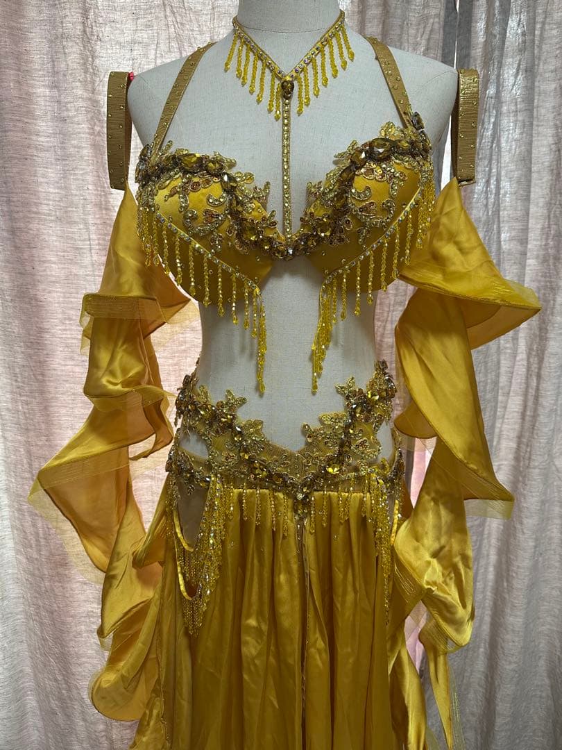 波　オーダー豪華衣装　新品　ベリーダンス　4点セット