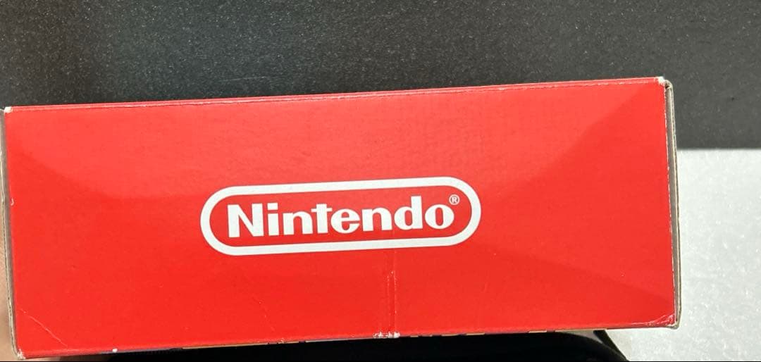 たてなみ Nintendo Switch Lite ザシアン・ザマゼンタ