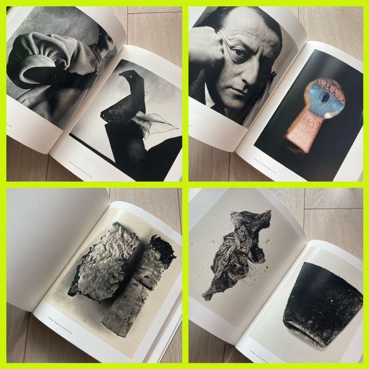 希少! Irving Penn: Beyond Beauty アーヴィング・ペン