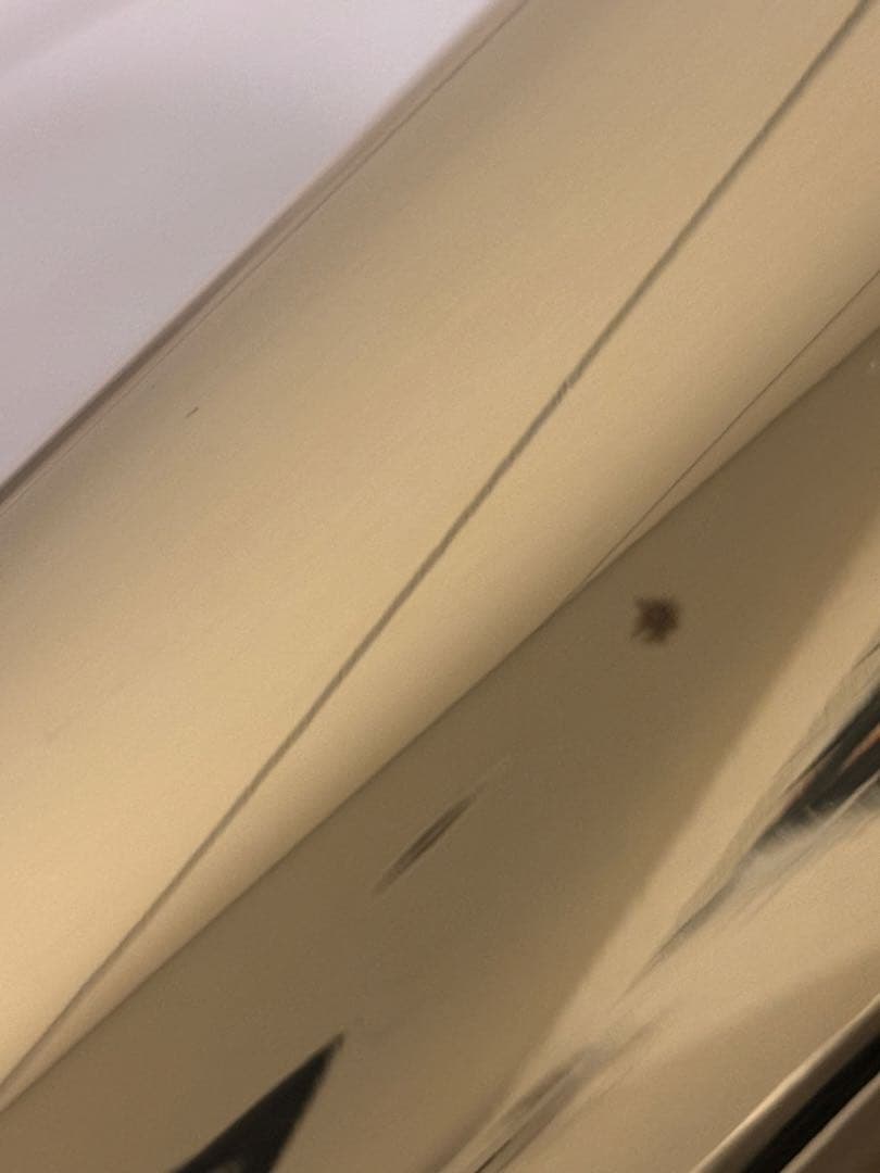 アルトホルン ケース、マウスピース付き