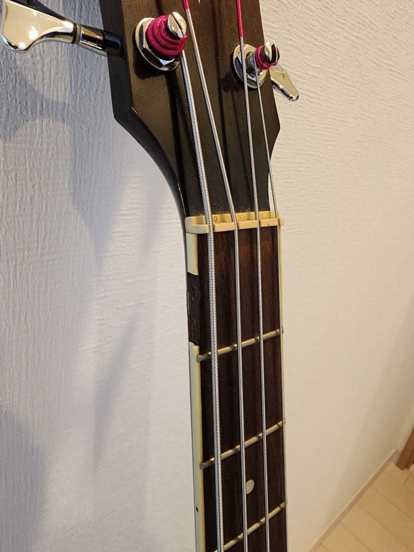 Ibanez アコースティックベース 4弦 ギグバッグ付き エレアコ ジャンク