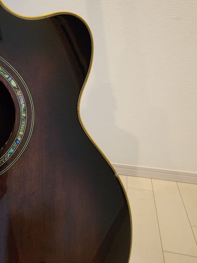 Ibanez アコースティックベース 4弦 ギグバッグ付き エレアコ ジャンク