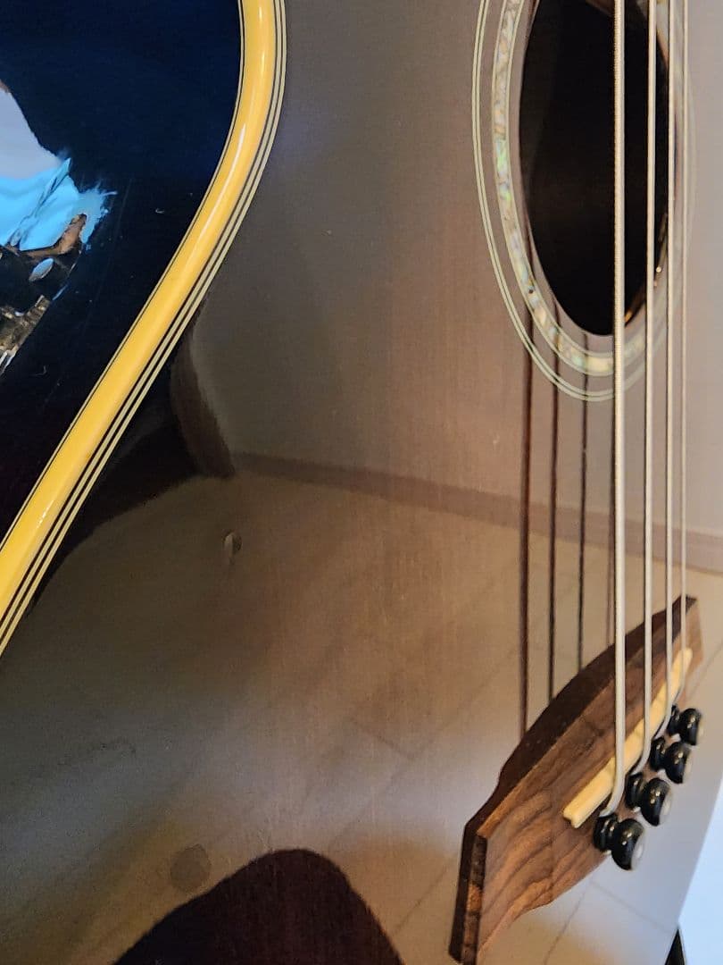 Ibanez アコースティックベース 4弦 ギグバッグ付き エレアコ ジャンク