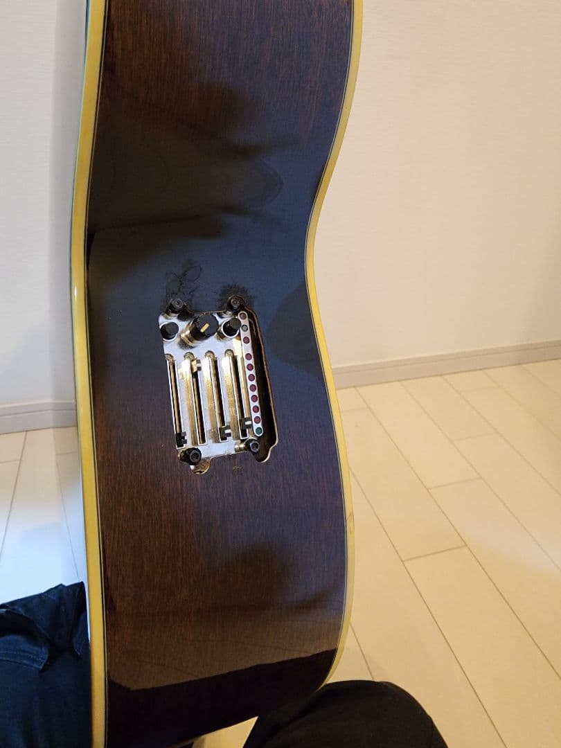 Ibanez アコースティックベース 4弦 ギグバッグ付き エレアコ ジャンク