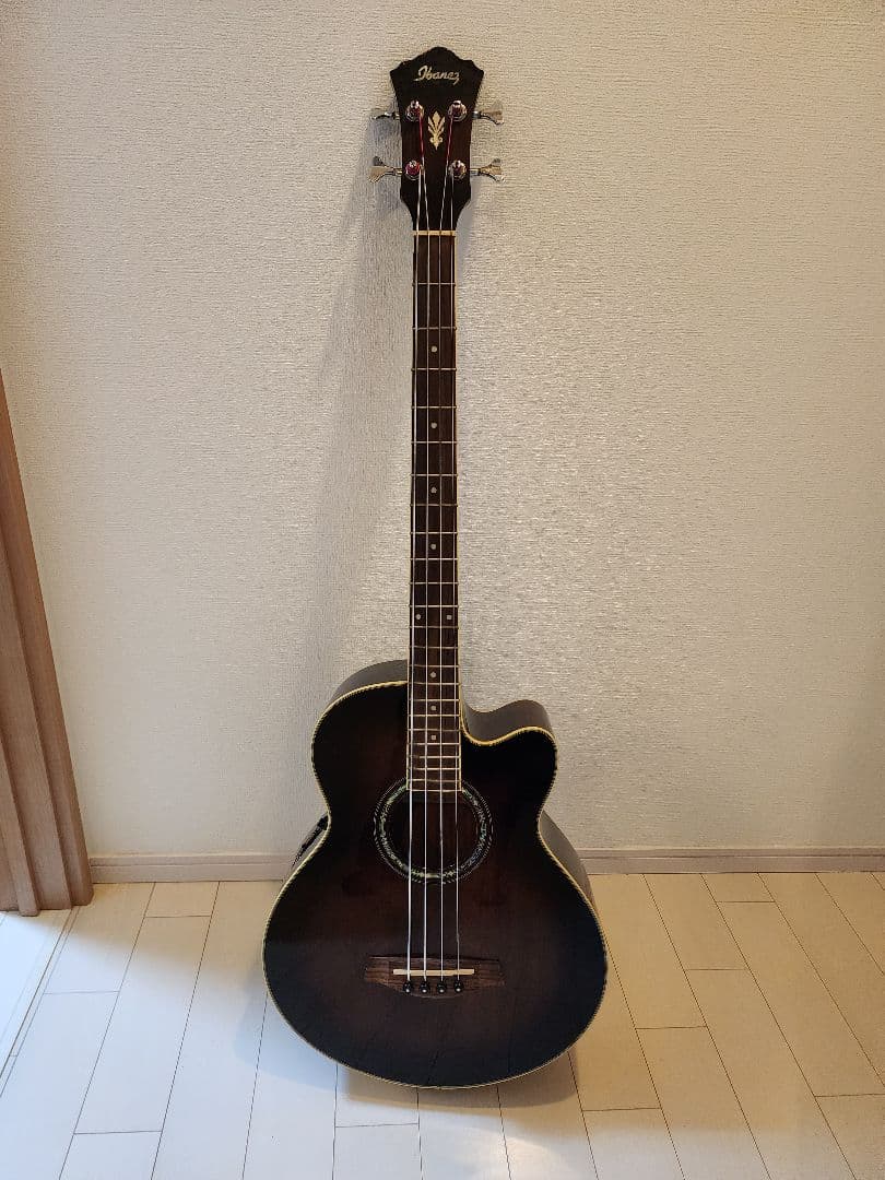 Ibanez アコースティックベース 4弦 ギグバッグ付き エレアコ ジャンク