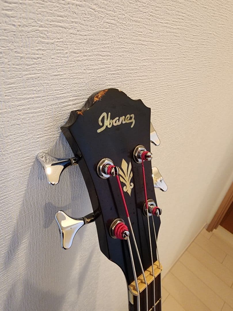 Ibanez アコースティックベース 4弦 ギグバッグ付き エレアコ ジャンク