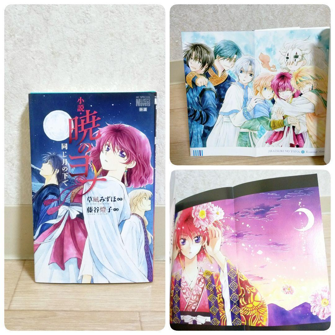 【小説＆ファンブック付き】暁のヨナ 1~46全巻セット 夢幻スパイラル【送料込】