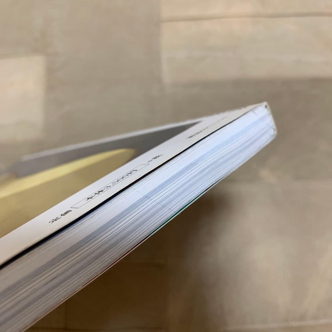 THE GALAXY OF STRATS (リットーミュージック・ムック)