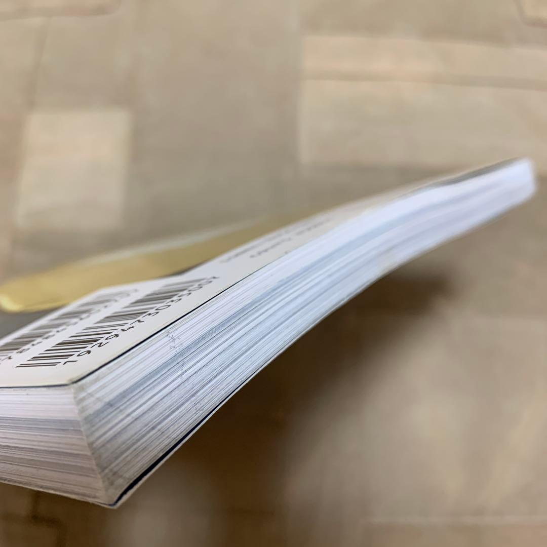 THE GALAXY OF STRATS (リットーミュージック・ムック)