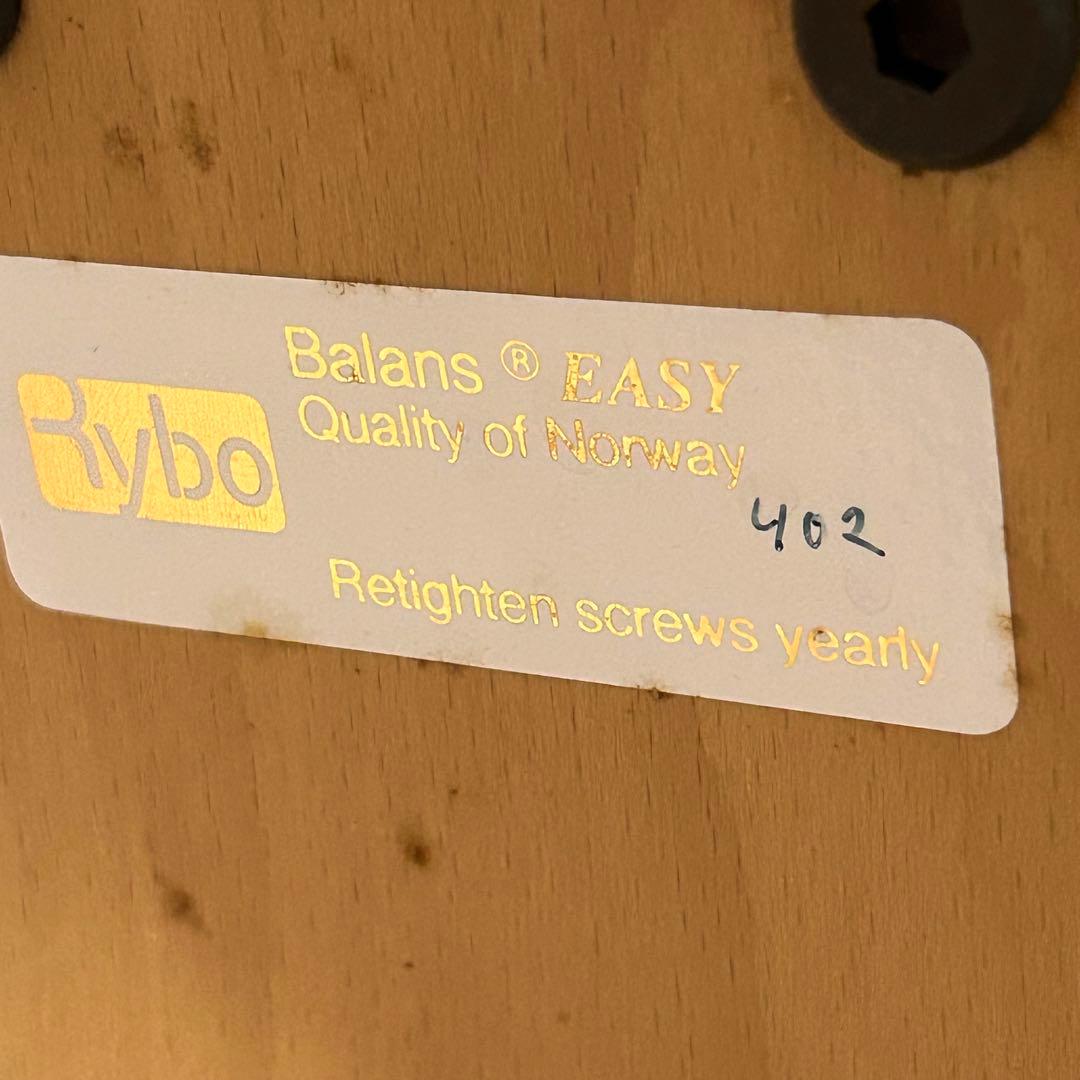 Rybo バランスイージー Balans EASY 姿勢矯正用チェア リボ