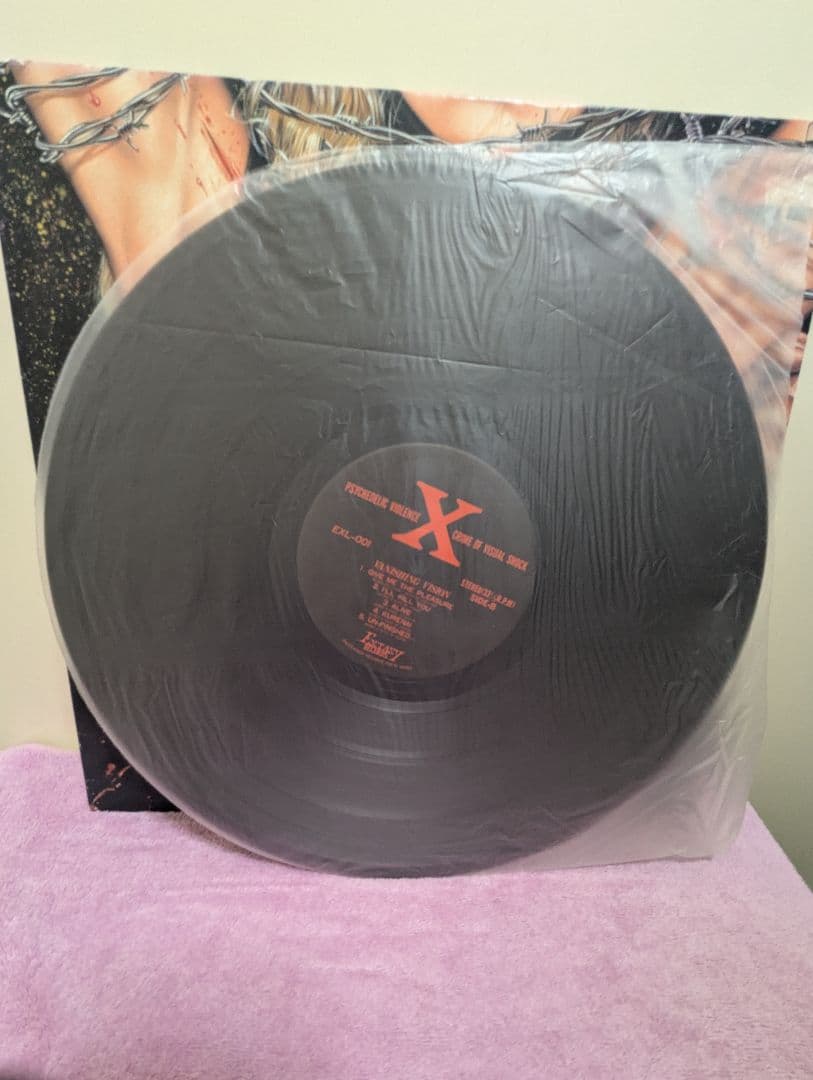 邦楽 X VANISHING VISION LP