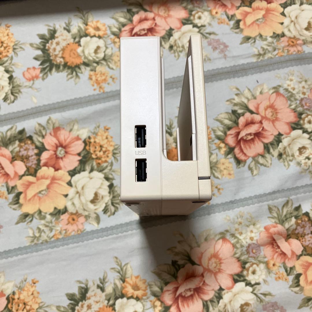 【希少】　Nintendo Switch どうぶつの森デザイン