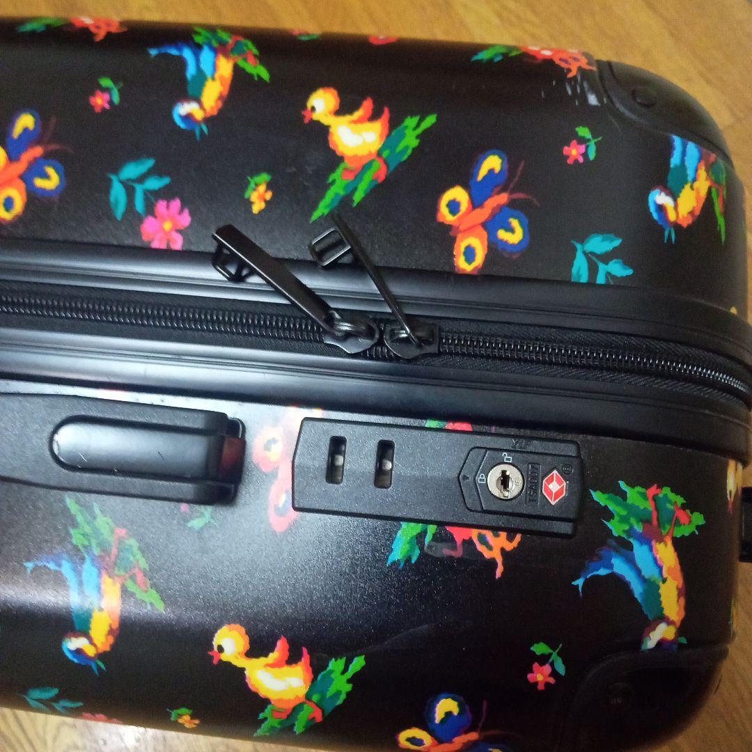 フェイラー　ハイジ　キャリーバック(鍵なし・写真15)