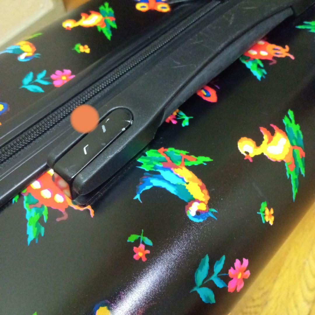 フェイラー　ハイジ　キャリーバック(鍵なし・写真15)