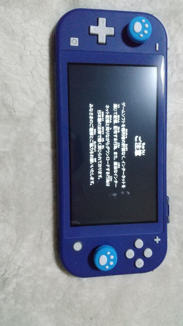 Nintendo Switch Lite ブルー 動作品 難あり