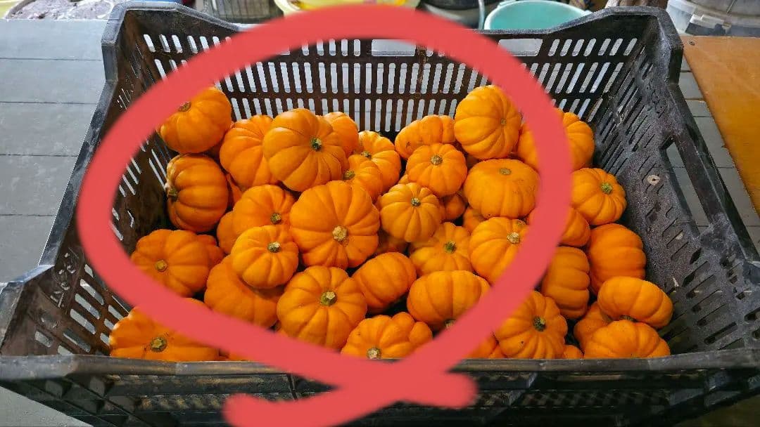 【新鮮収穫】ミニバラさま　150個