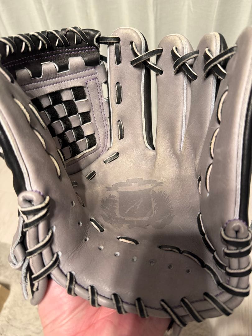 Alegria 軟式グローブ 黒/灰色