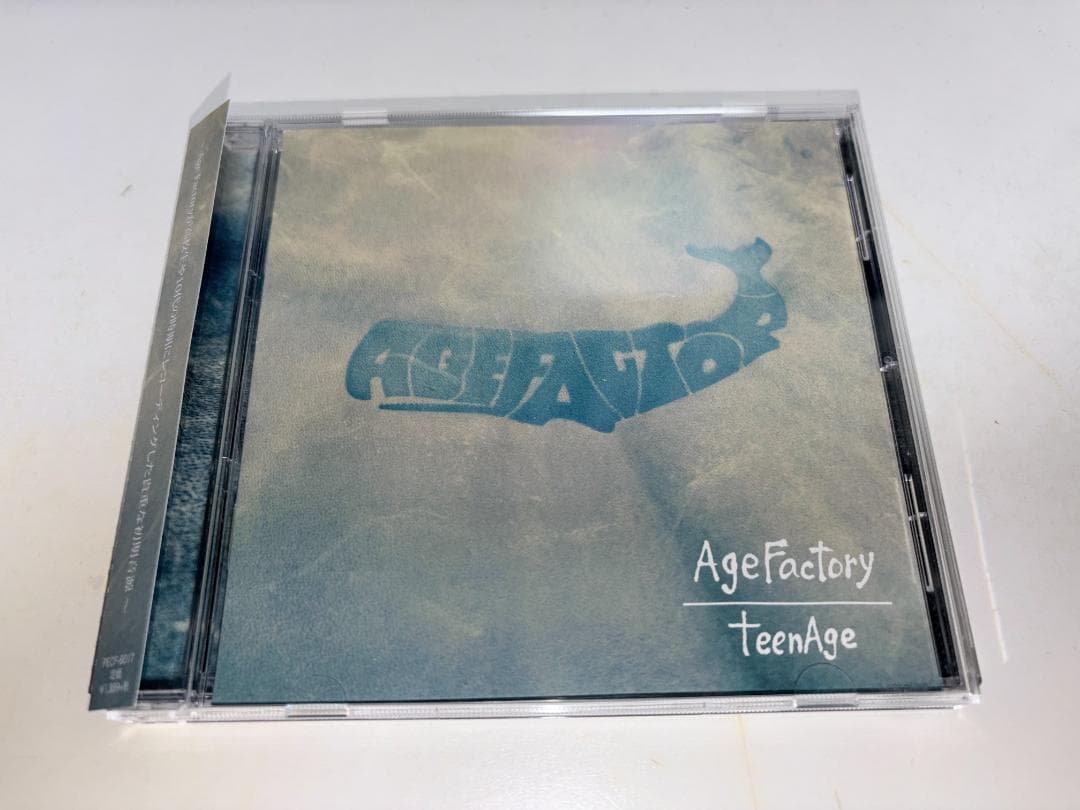 邦楽 Age Factory - teenAge