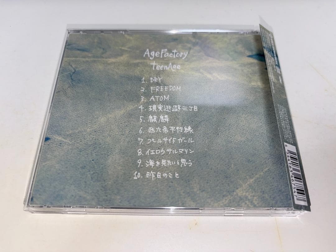 邦楽 Age Factory - teenAge