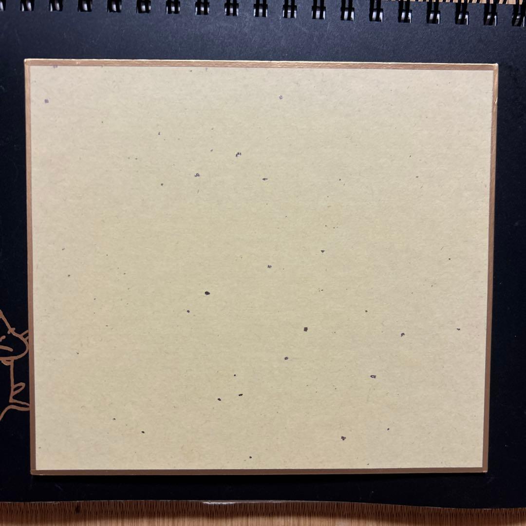 木村沙織 サイン入りフォト ミニ色紙