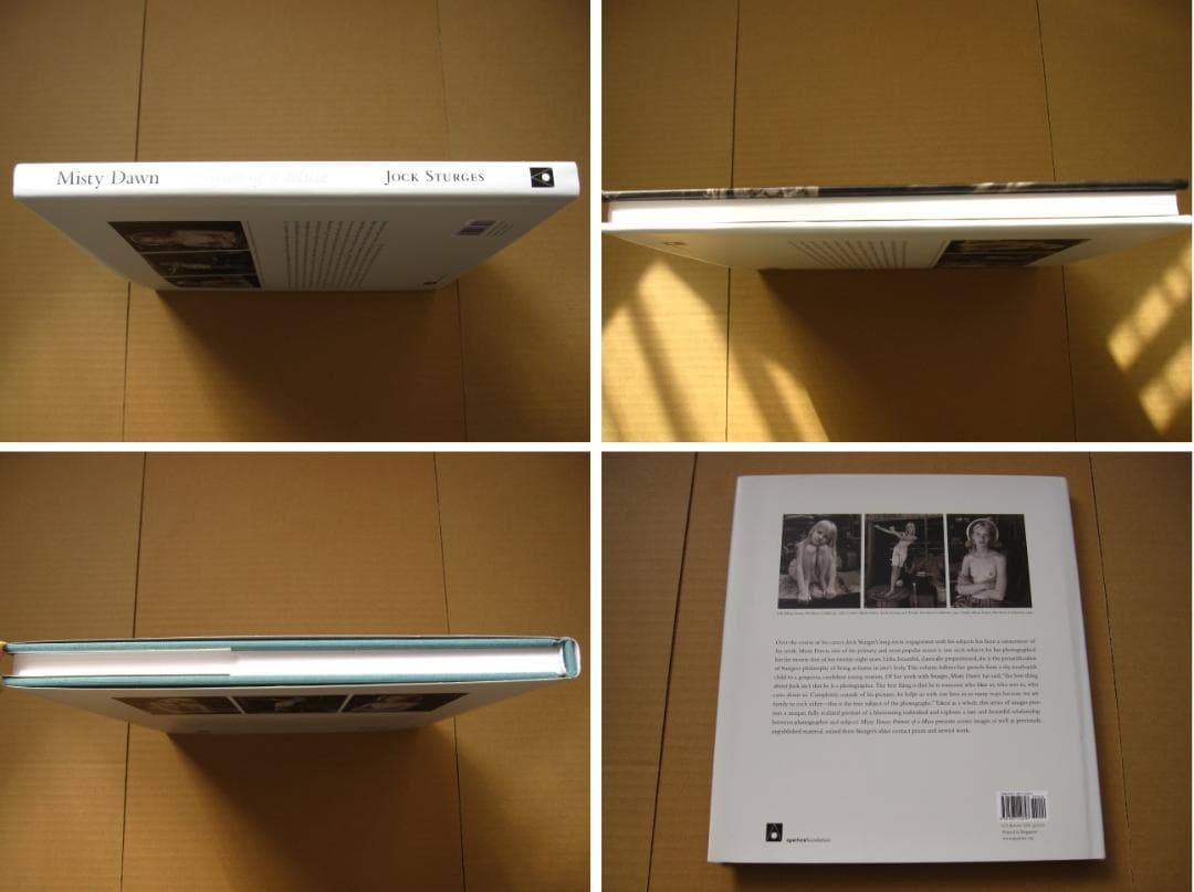 アート・デザイン・音楽 Misty Dawn : Portrait of a Muse