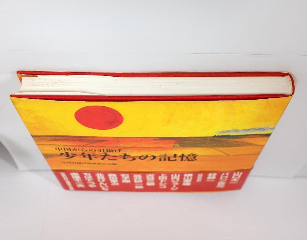 少年たちの記憶: 中国からの引揚げ