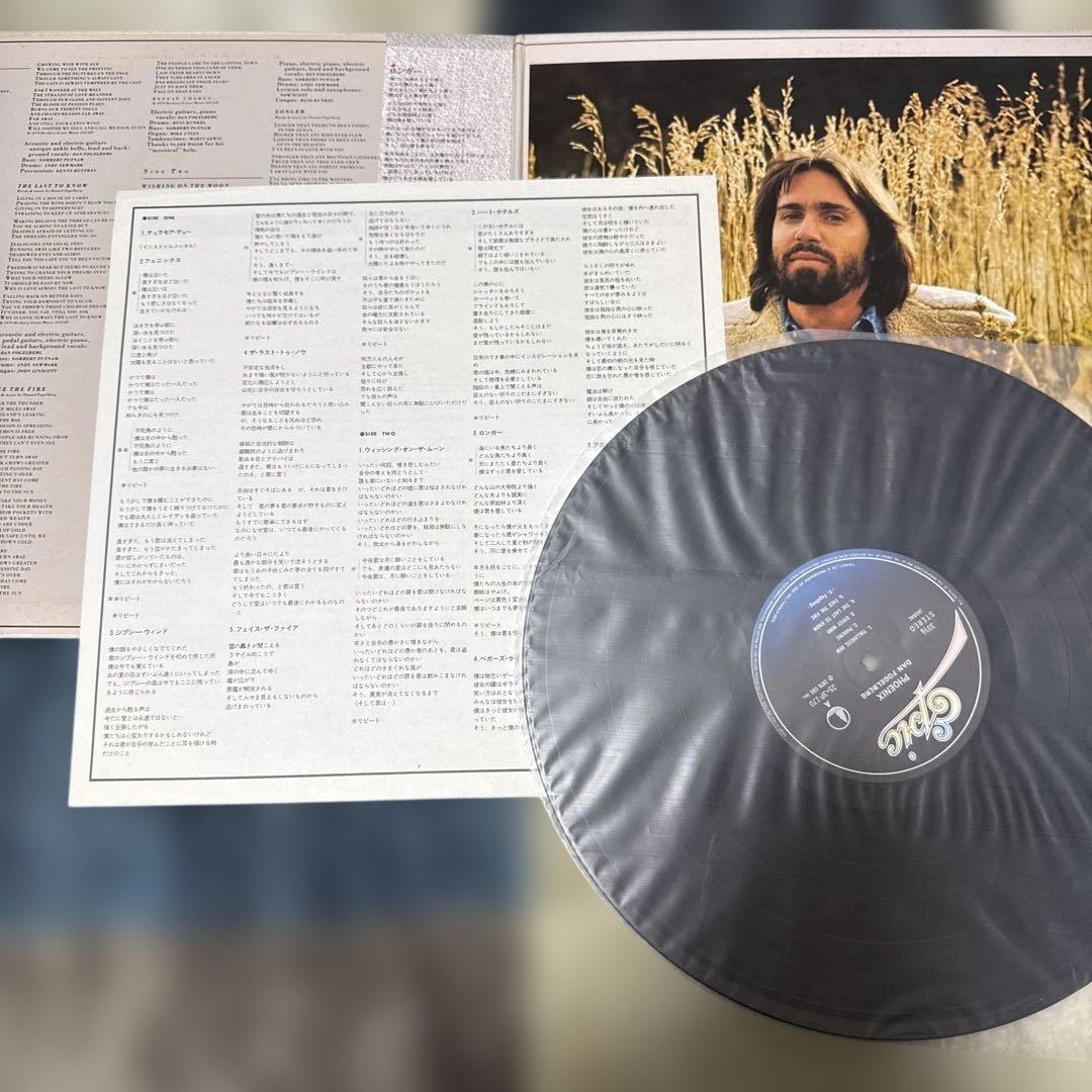 ダン・フォーゲルバーグ　国内盤レコード