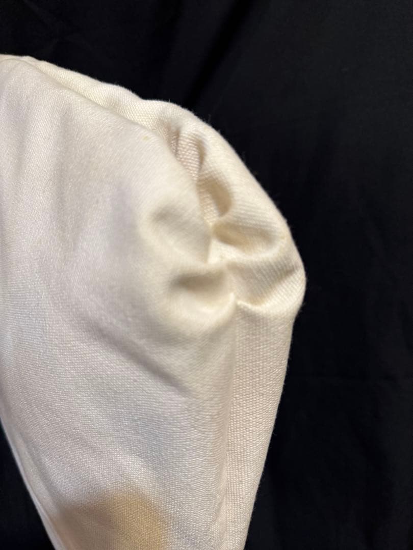 激レアコーチ goldyポピーちゃんトートバッグpoppy