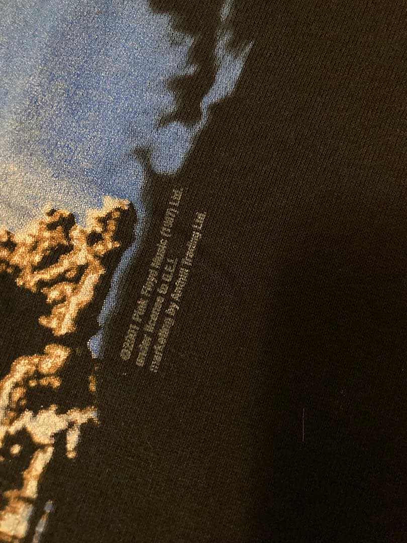 Pink Floyd Tシャツ　wish you were here