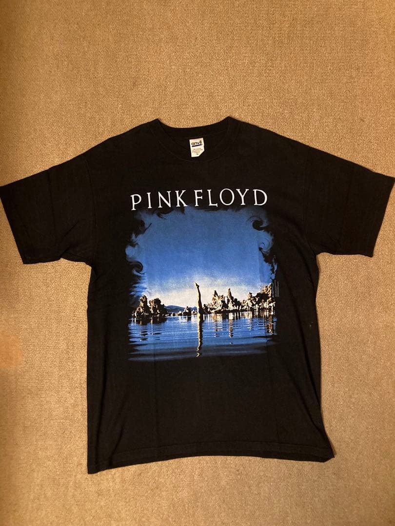 Pink Floyd Tシャツ　wish you were here