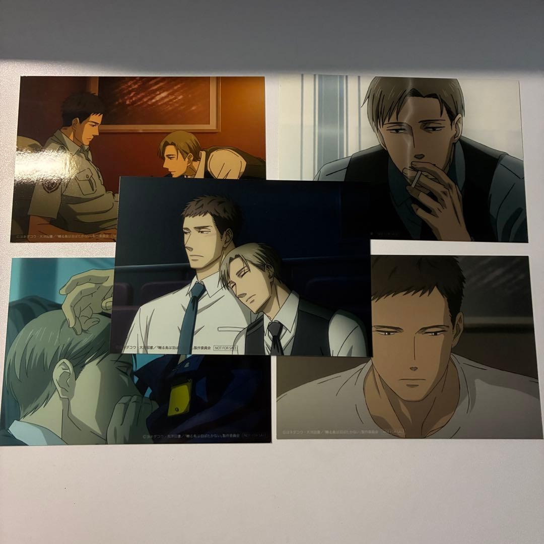 囀る鳥は羽ばたかない 完全生産限定版 DVD