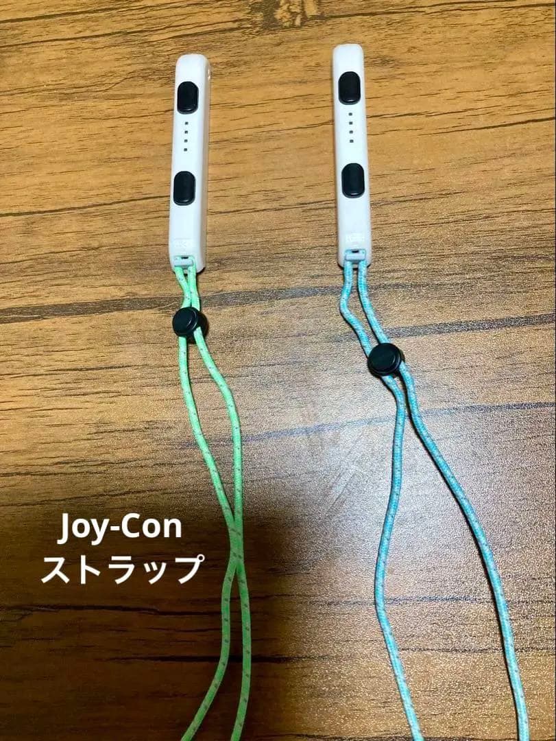 Nintendo Switch あつまれどうぶつの森 限定デザイン 本体セット