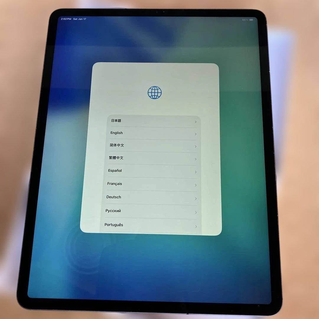 iPad Pro 12.9 第4世代 Cellular 1TB グレー 84%