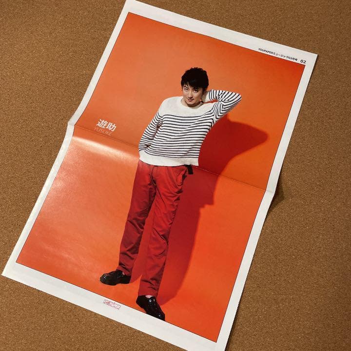 【送料無料】遊助さん掲載ページ（ポスターサイズ）#9050