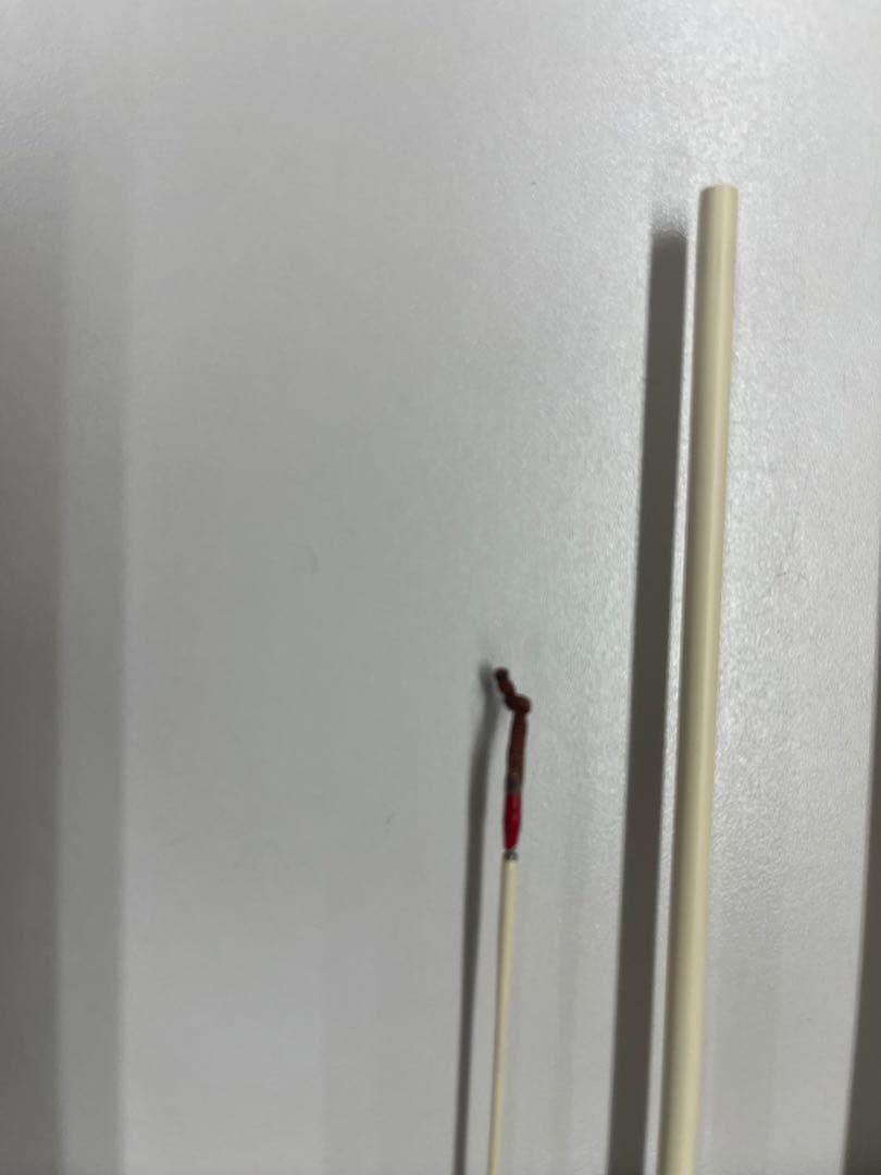 ダイワ 伯天弓　硬式　18尺