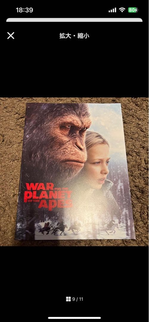 marvel プレリュード　パンフレット　まとめ　バラ売り可能 マーベル MCU