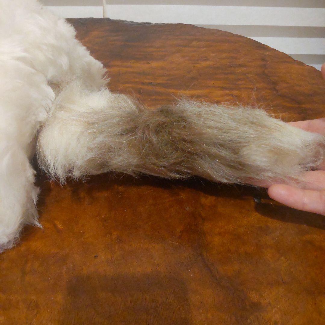 ぬいぐるみ アライグマ べべちゃん 昭和 レトロ ヴィンテージ あらいぐま