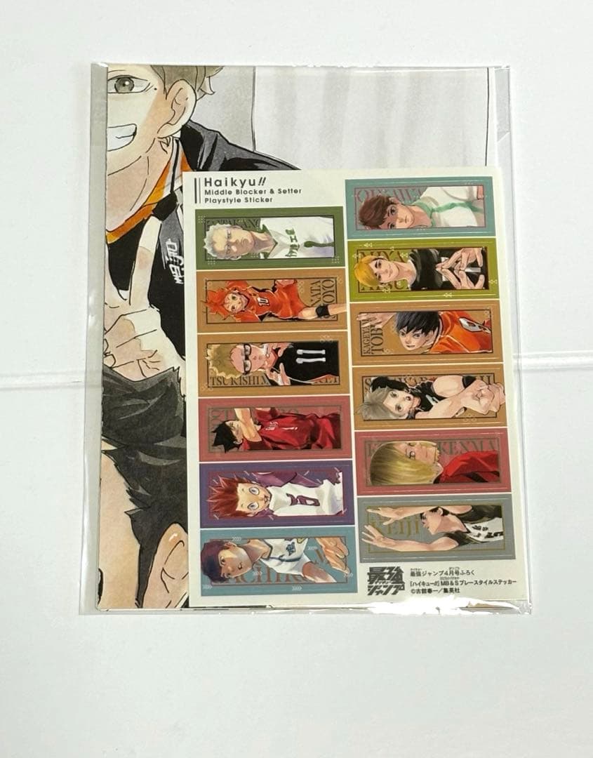 ハイキュー!!10th クロニクル グッズ付き同梱板 缶バッジ 付録 セット
