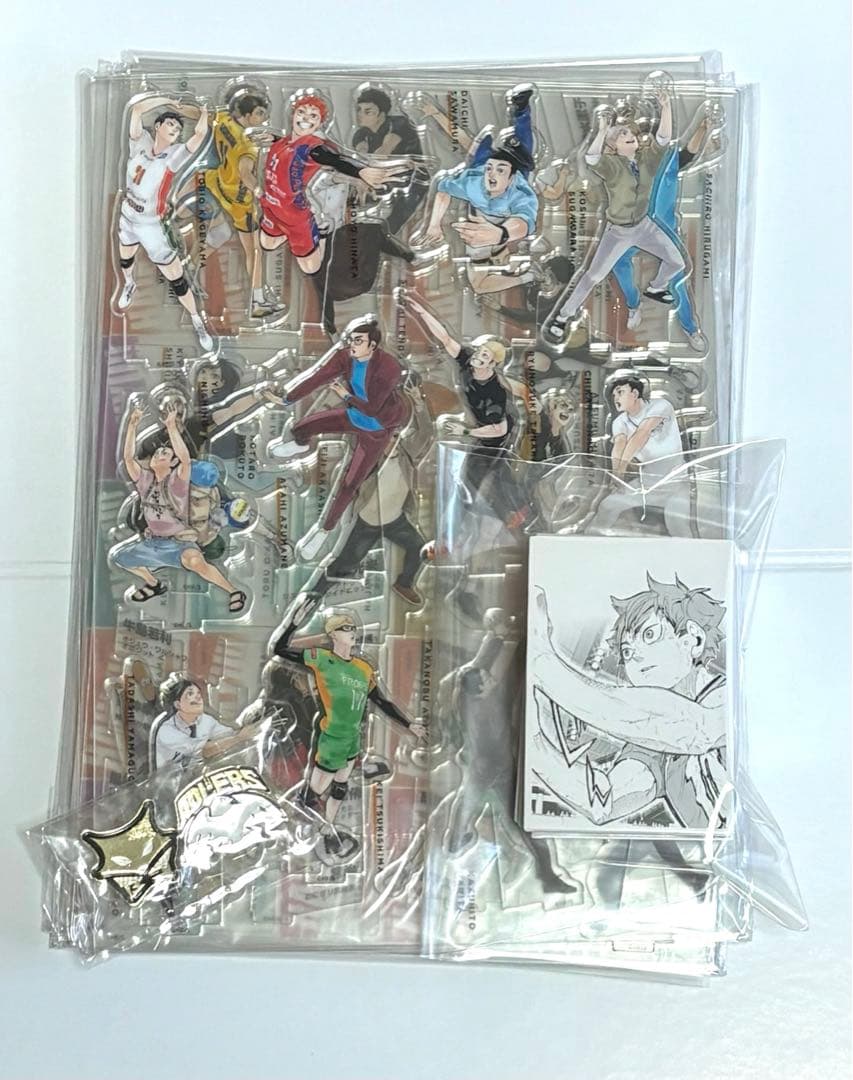 ハイキュー!!10th クロニクル グッズ付き同梱板 缶バッジ 付録 セット