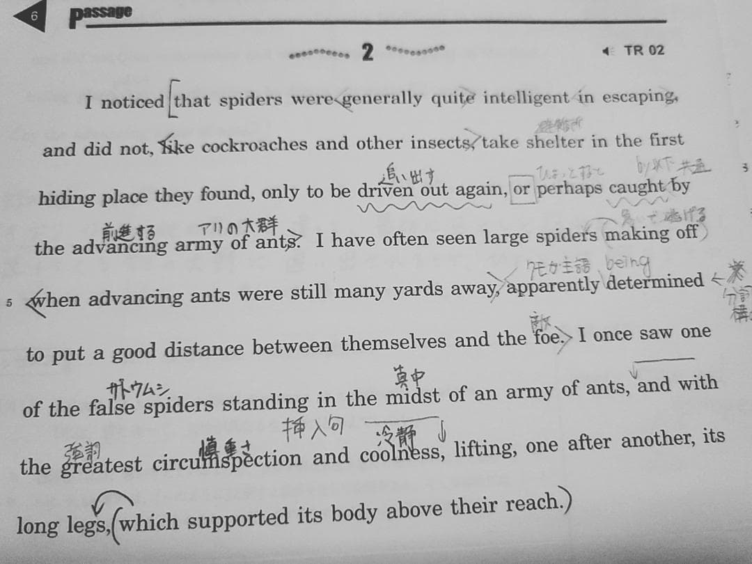 駿台の竹岡広信先生による英語構文S配布プリントフルセット　鉄緑会　河合塾