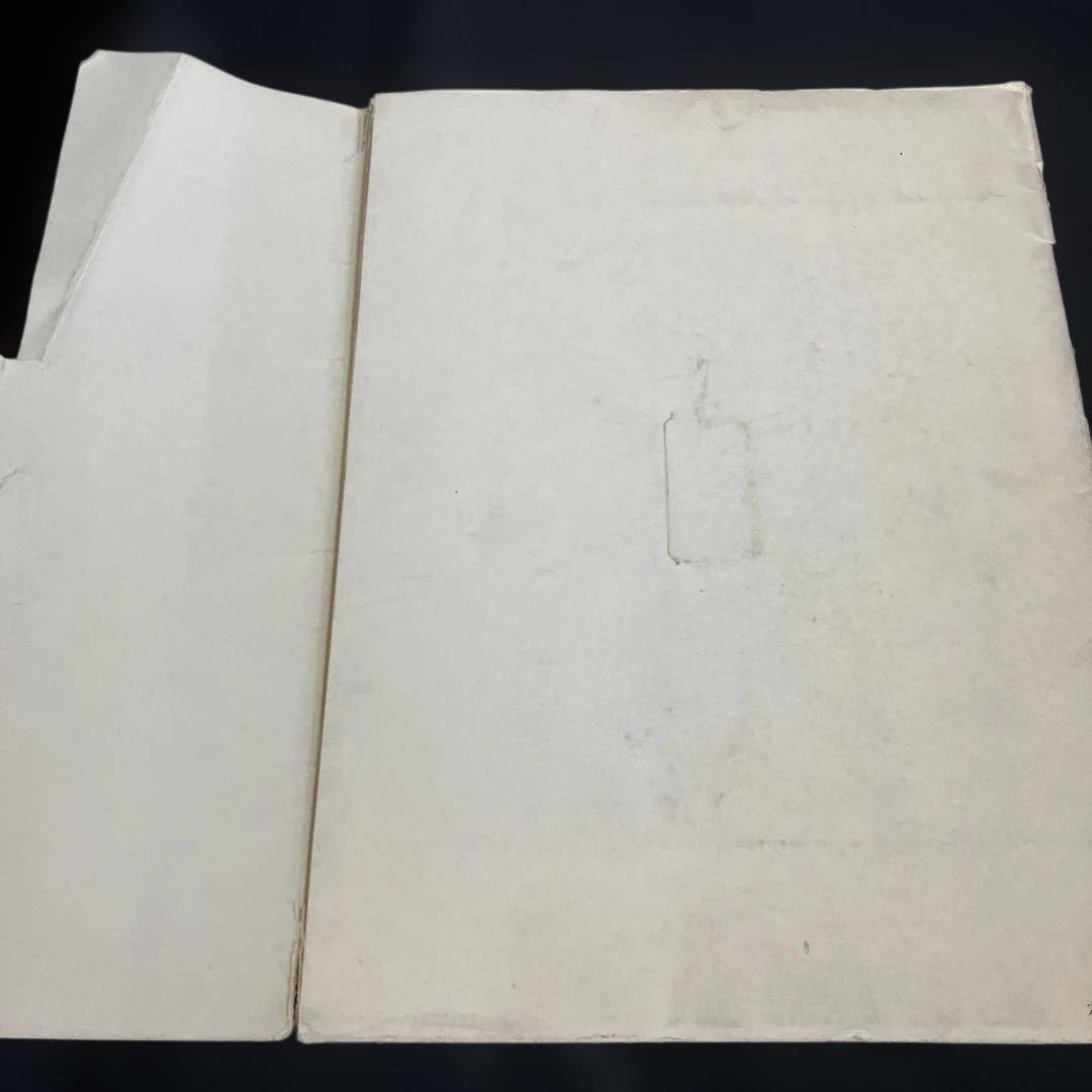 【正月三ヶ日値下】坂本龍一 Limited Access Series 絶版