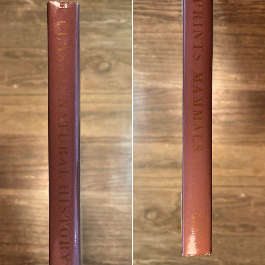 洋書 CLASSIC NATURAL HISTORY PRINTS MAMMALS