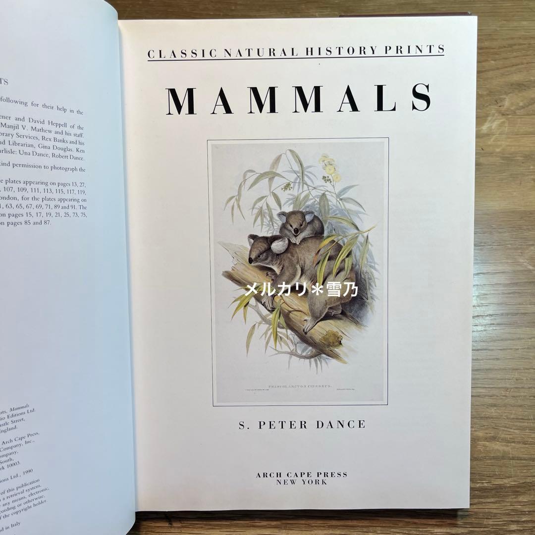 洋書 CLASSIC NATURAL HISTORY PRINTS MAMMALS