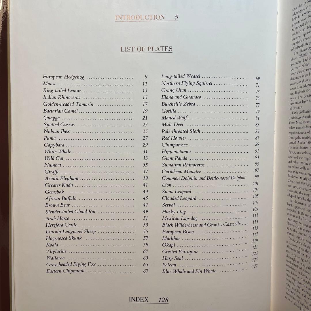 洋書 CLASSIC NATURAL HISTORY PRINTS MAMMALS