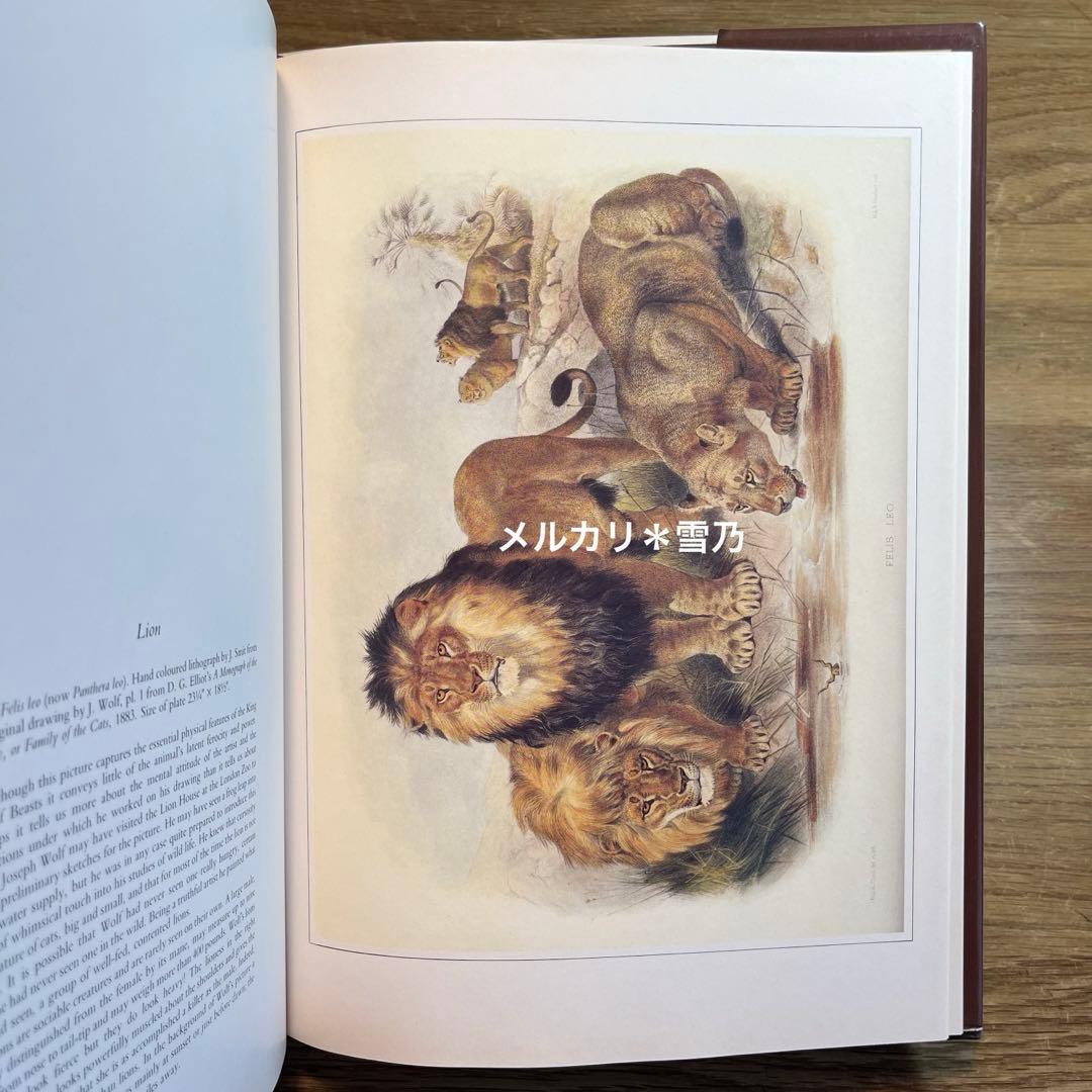 洋書 CLASSIC NATURAL HISTORY PRINTS MAMMALS