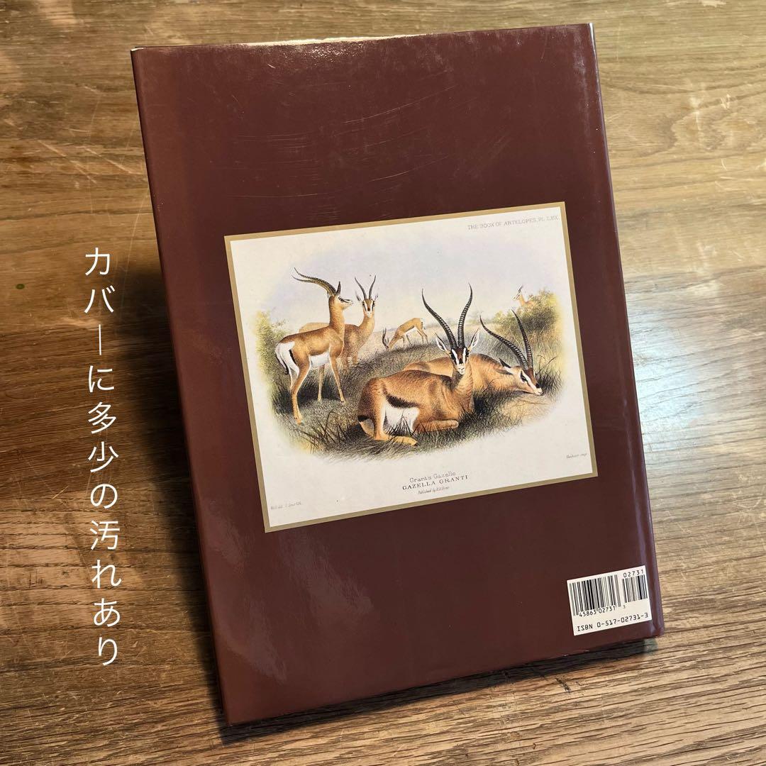 洋書 CLASSIC NATURAL HISTORY PRINTS MAMMALS