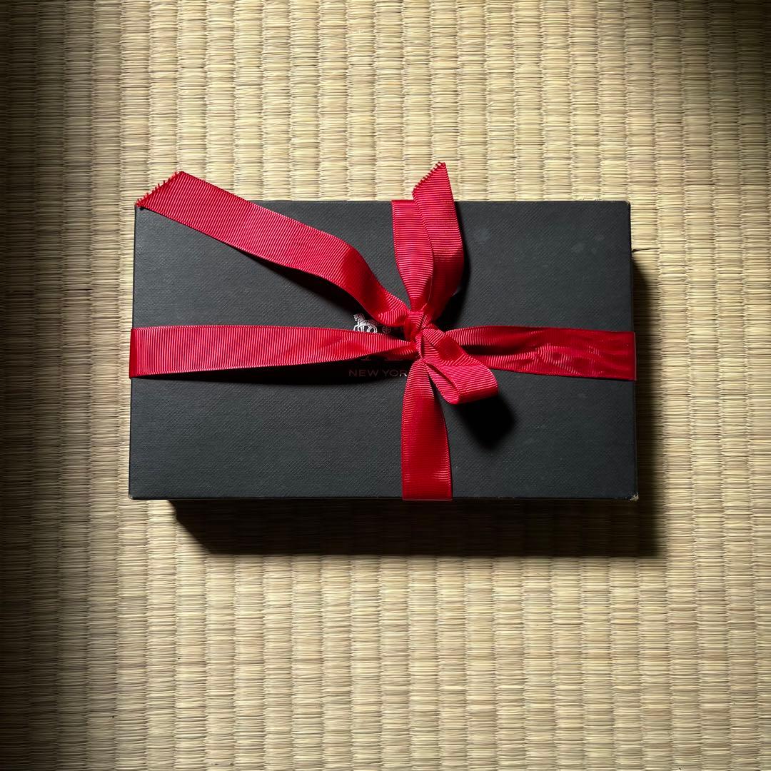 未使用　COACH ブラウン レザー手袋　テックグローブ