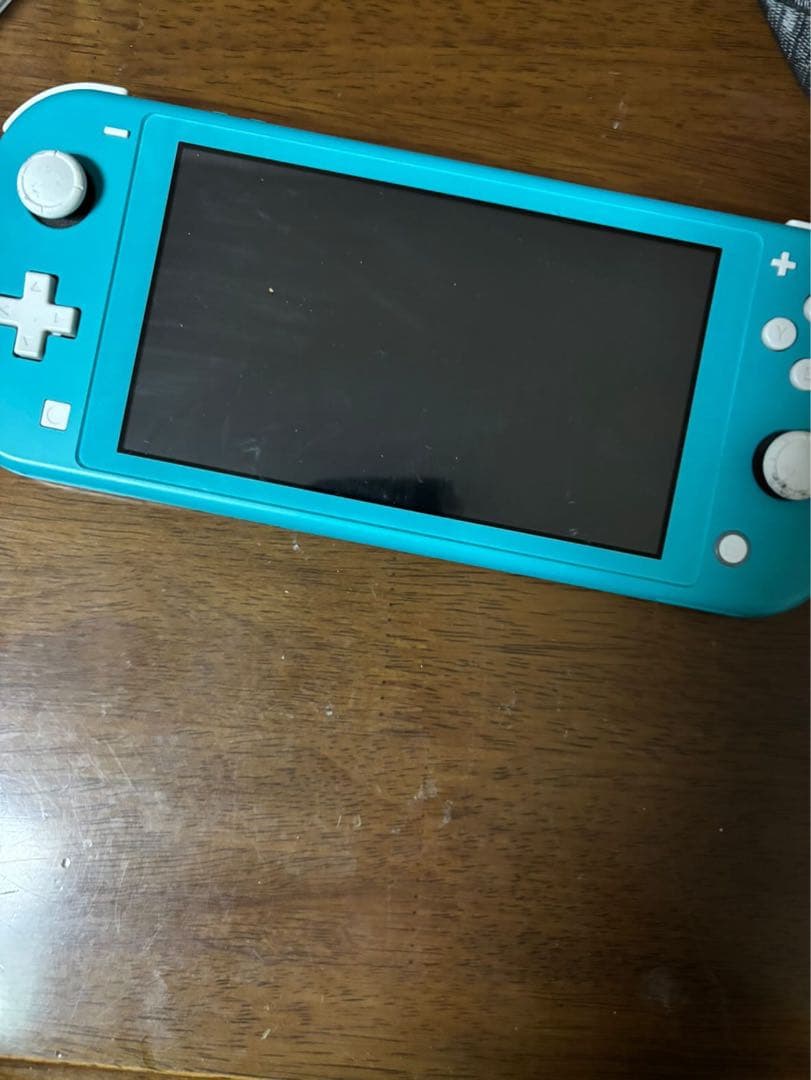 Nintendo Switch Lite FIFA➕釣りスピリッツ